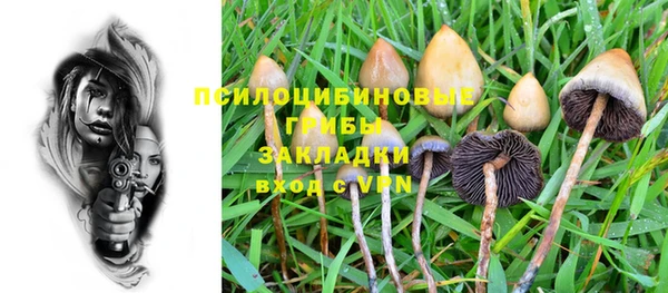альфа пвп Богданович