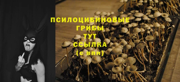 альфа пвп Богданович