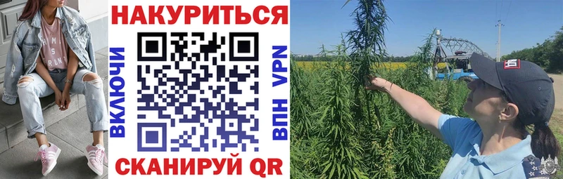 МАРИХУАНА White Widow  Беслан 